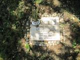 image of grave number 419393
